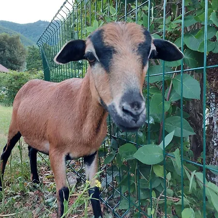 Campeggio Le Valserine - éco Responsable 3*